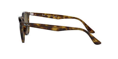 RAYBAN Unisex – Erwachsene Sonnenbrille RB4259, Mehrfarbig (Gestell: Havana,Gläser: braun 710/73), Medium (Herstellergröße: 51) - 2