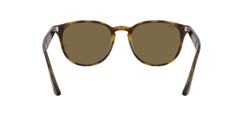 RAYBAN Unisex – Erwachsene Sonnenbrille RB4259, Mehrfarbig (Gestell: Havana,Gläser: braun 710/73), Medium (Herstellergröße: 51) - 4